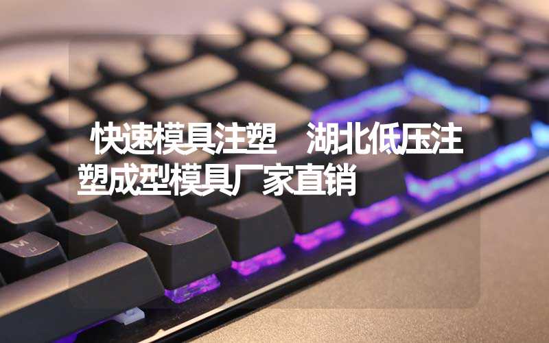 快速模具注塑 湖北低压注塑成型模具厂家直销